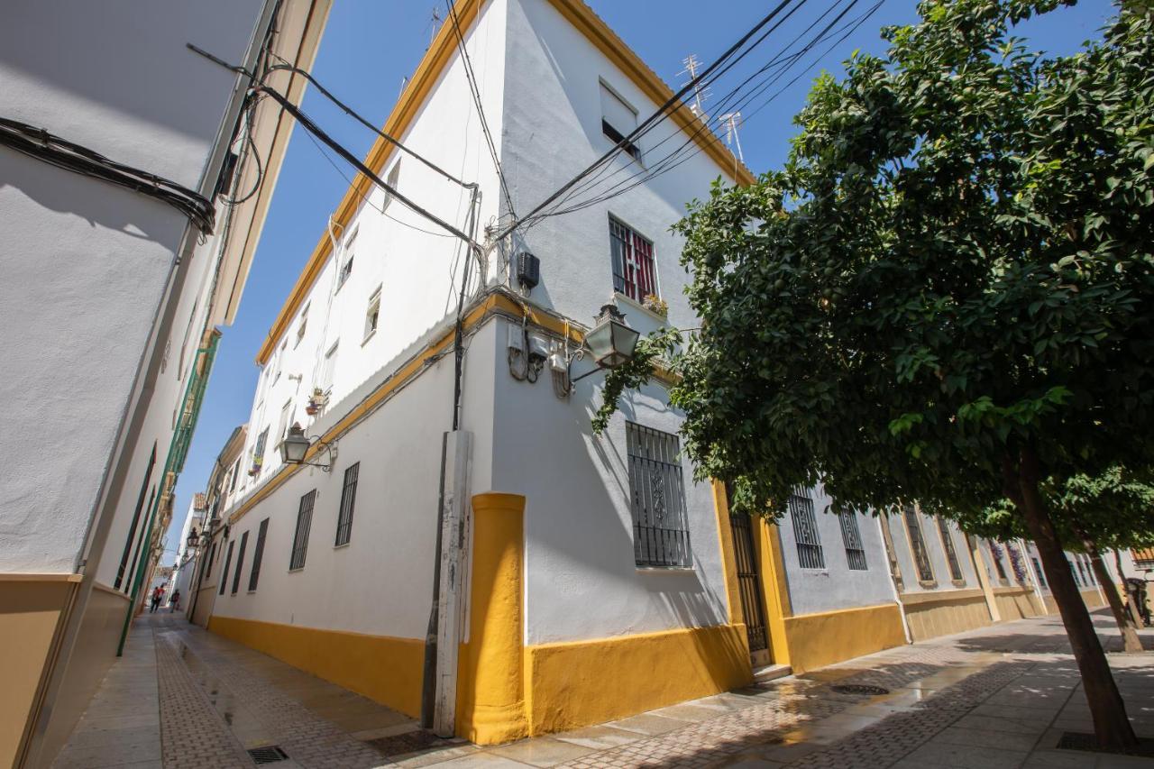 Apartamentos Tinte 8 Córdoba Exteriör bild